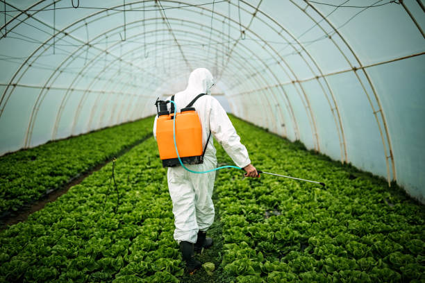 Best Pest Prevention Services  in New Tazewell, TN