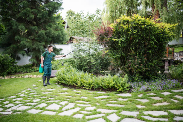 Best Local Pest Control Services  in New Tazewell, TN