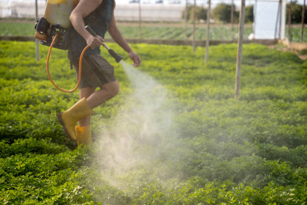 Best Exterminator Services  in New Tazewell, TN
