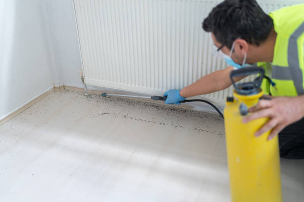 Best Pest Control Cost  in New Tazewell, TN