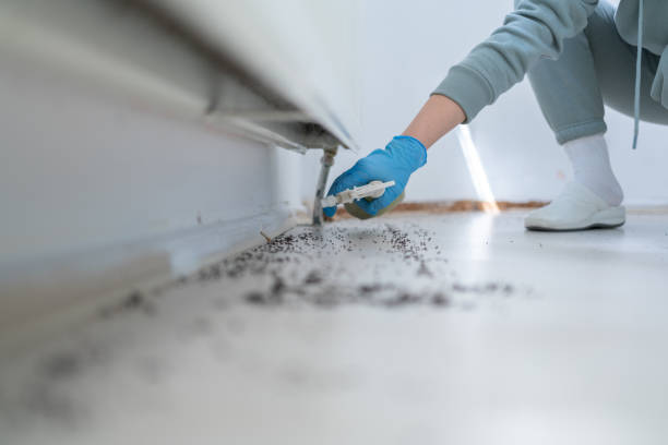 Best Best Pest Control Companies  in New Tazewell, TN