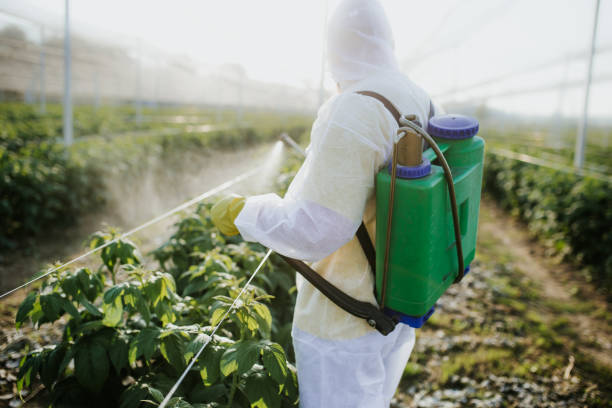 Best Bed Bug Extermination  in New Tazewell, TN